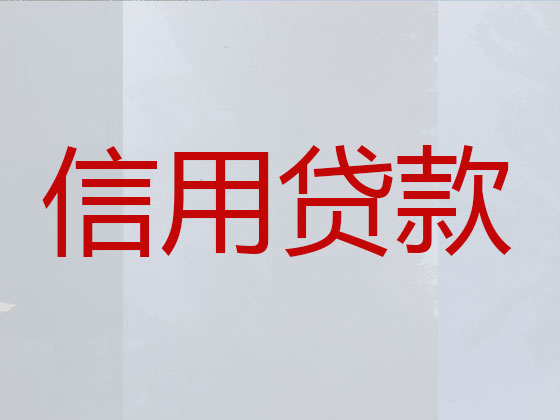 新星市贷款正规公司
